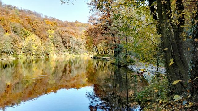 IMG_20161105_210913.jpg